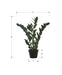 Artificial Plant, 29' Tall, Zz Tree, Indoor, Faux, Fake, Floor, Greenery, Potted, Real Touch, Decorative, Green Leaves, Black Pot Default -DTYStore