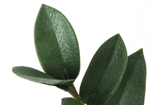 Artificial Plant, 29' Tall, Zz Tree, Indoor, Faux, Fake, Floor, Greenery, Potted, Real Touch, Decorative, Green Leaves, Black Pot Default -DTYStore