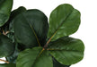 Artificial Plant, 32' Tall, Fiddle Tree, Indoor, Faux, Fake, Floor, Greenery, Potted, Real Touch, Decorative, Green Leaves, Black Pot Default -DTYStore