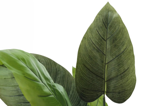 Artificial Plant, 37' Tall, Aureum Tree, Indoor, Faux, Fake, Floor, Greenery, Potted, Real Touch, Decorative, Green Leaves, Black Pot Default -DTYStore