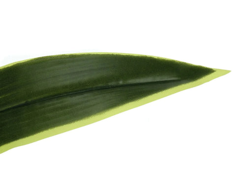 Artificial Plant, 47' Tall, Dracaena Tree, Indoor, Faux, Fake, Floor, Greenery, Potted, Real Touch, Decorative, Green Leaves, Black Pot Default -DTYStore