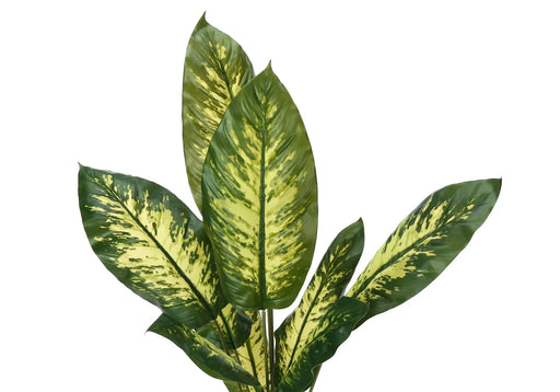 Artificial Plant, 47' Tall, Evergreen Tree, Indoor, Faux, Fake, Floor, Greenery, Potted, Real Touch, Decorative, Green Leaves, Black Pot Default -DTYStore