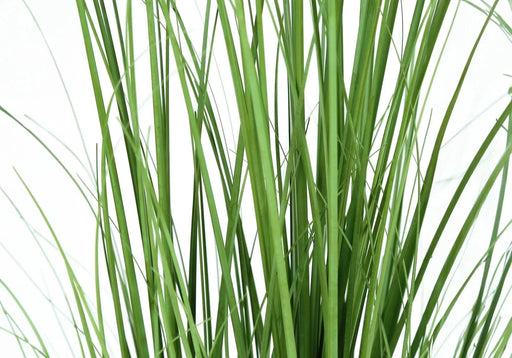 Artificial Plant, 47' Tall, Grass Tree, Indoor, Faux, Fake, Floor, Greenery, Potted, Real Touch, Decorative, Green Grass, Black Pot Default -DTYStore