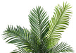 Artificial Plant, 47' Tall, Palm Tree, Indoor, Faux, Fake, Floor, Greenery, Potted, Real Touch, Decorative, Green Leaves, Black Pot Default -DTYStore