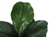 Artificial Plant, 49' Tall, Fiddle Tree, Indoor, Faux, Fake, Floor, Greenery, Potted, Real Touch, Decorative, Green Leaves, Black Pot Default -DTYStore
