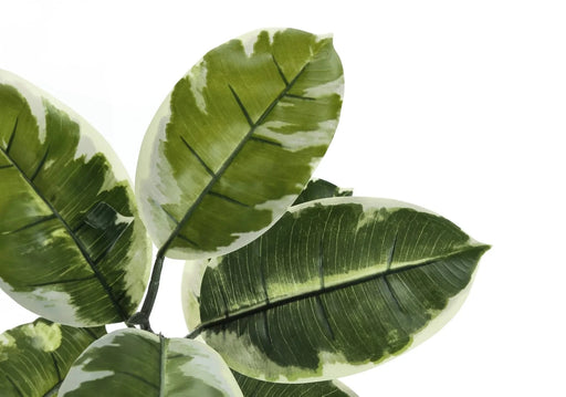 Artificial Plant, 52' Tall, Rubber Tree, Indoor, Faux, Fake, Floor, Greenery, Potted, Real Touch, Decorative, Green Leaves, Black Pot Default -DTYStore