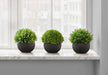 Artificial Plant, 5' Tall, Grass, Indoor, Faux, Fake, Table, Greenery, Potted, Set Of 3, Decorative, Green Plants, Black Pots Default -DTYStore