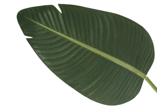 Artificial Plant, 60' Tall, Bird Of Paradise Tree, Indoor, Faux, Fake, Floor, Greenery, Potted, Decorative, Green Leaves, Black Pot Default -DTYStore