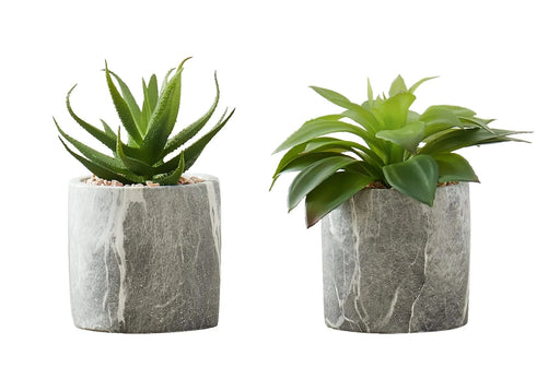 Artificial Plant, 6' Tall, Succulent, Indoor, Faux, Fake, Table, Greenery, Potted, Set Of 2, Decorative, Green Leaves, Grey Cement Pots Default -DTYStore