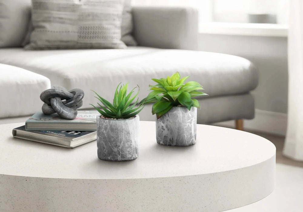 Artificial Plant, 6' Tall, Succulent, Indoor, Faux, Fake, Table, Greenery, Potted, Set Of 2, Decorative, Green Leaves, Grey Cement Pots Default -DTYStore