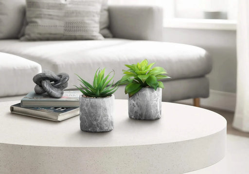 Artificial Plant, 6' Tall, Succulent, Indoor, Faux, Fake, Table, Greenery, Potted, Set Of 2, Decorative, Green Leaves, Grey Cement Pots Default -DTYStore