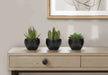 Artificial Plant, 6' Tall, Succulent, Indoor, Faux, Fake, Table, Greenery, Potted, Set Of 3, Decorative, Green Plants, Black Pots Default -DTYStore