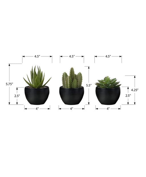 Artificial Plant, 6' Tall, Succulent, Indoor, Faux, Fake, Table, Greenery, Potted, Set Of 3, Decorative, Green Plants, Black Pots Default -DTYStore
