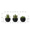 Artificial Plant, 6' Tall, Succulent, Indoor, Faux, Fake, Table, Greenery, Potted, Set Of 3, Decorative, Green Plants, Black Pots Default -DTYStore