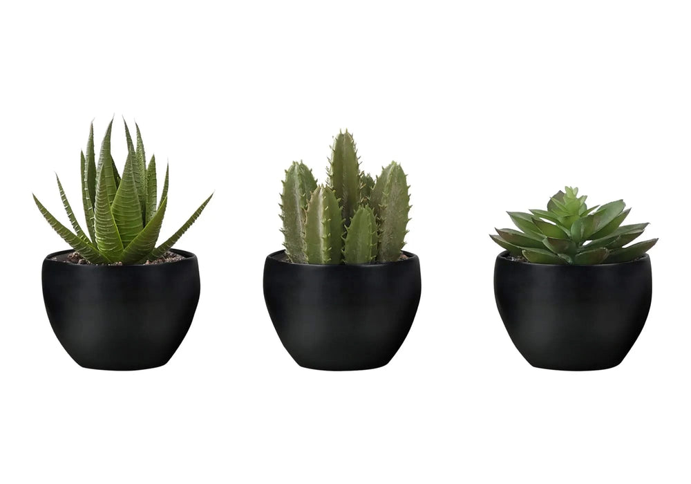 Artificial Plant, 6' Tall, Succulent, Indoor, Faux, Fake, Table, Greenery, Potted, Set Of 3, Decorative, Green Plants, Black Pots Default -DTYStore