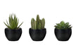 Artificial Plant, 6' Tall, Succulent, Indoor, Faux, Fake, Table, Greenery, Potted, Set Of 3, Decorative, Green Plants, Black Pots Default -DTYStore