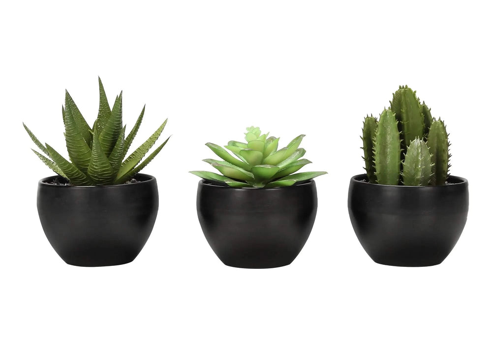Artificial Plant, 6' Tall, Succulent, Indoor, Faux, Fake, Table, Greenery, Potted, Set Of 3, Decorative, Green Plants, Black Pots Default -DTYStore