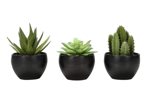 Artificial Plant, 6' Tall, Succulent, Indoor, Faux, Fake, Table, Greenery, Potted, Set Of 3, Decorative, Green Plants, Black Pots Default -DTYStore