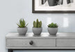 Artificial Plant, 6' Tall, Succulent, Indoor, Faux, Fake, Table, Greenery, Potted, Set Of 3, Decorative, Green Plants, Grey Cement Pots Default -DTYStore