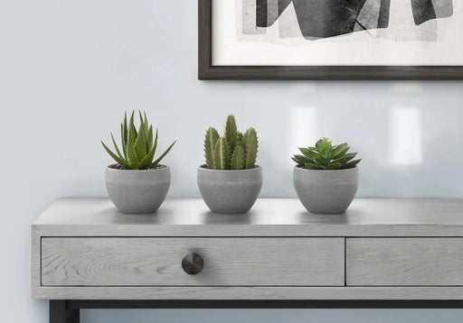 Artificial Plant, 6' Tall, Succulent, Indoor, Faux, Fake, Table, Greenery, Potted, Set Of 3, Decorative, Green Plants, Grey Cement Pots Default -DTYStore