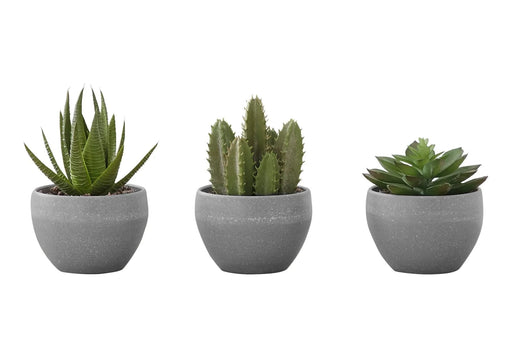 Artificial Plant, 6' Tall, Succulent, Indoor, Faux, Fake, Table, Greenery, Potted, Set Of 3, Decorative, Green Plants, Grey Cement Pots Default -DTYStore