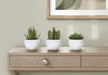 Artificial Plant, 6' Tall, Succulent, Indoor, Faux, Fake, Table, Greenery, Potted, Set Of 3, Decorative, Green Plants, White Pots Default -DTYStore
