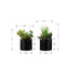 Artificial Plant, 7' Tall, Succulent, Indoor, Faux, Fake, Table, Greenery, Potted, Set Of 2, Decorative, Green Plants, Glossy Black Pots Default -DTYStore