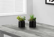 Artificial Plant, 7' Tall, Succulent, Indoor, Faux, Fake, Table, Greenery, Potted, Set Of 2, Decorative, Green Plants, Glossy Black Pots Default -DTYStore