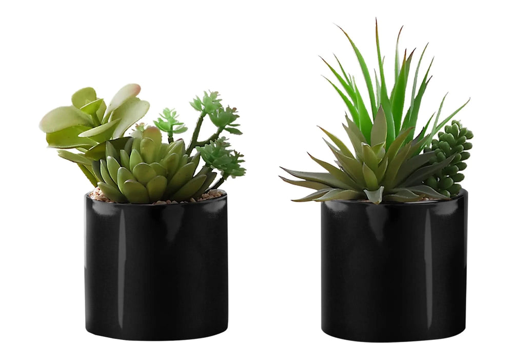 Artificial Plant, 7' Tall, Succulent, Indoor, Faux, Fake, Table, Greenery, Potted, Set Of 2, Decorative, Green Plants, Glossy Black Pots Default -DTYStore