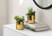 Artificial Plant, 7' Tall, Succulent, Indoor, Faux, Fake, Table, Greenery, Potted, Set Of 2, Decorative, Green Plants, Glossy Gold Pots Default -DTYStore