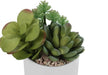 Artificial Plant, 7' Tall, Succulent, Indoor, Faux, Fake, Table, Greenery, Potted, Set Of 2, Decorative, Green Plants, White Ceramic Pots Default -DTYStore