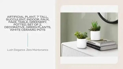 Artificial Plant, 7' Tall, Succulent, Indoor, Faux, Fake, Table, Greenery, Potted, Set Of 2, Decorative, Green Plants, White Ceramic Pots Default -DTYStore