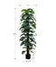Artificial Plant, 83' Tall, Monstera Tree, Floor, Indoor, Decorative, Green Leaves, Black Pot Default -DTYStore