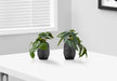 Artificial Plant, 8' Tall, Alocasia, Indoor, Faux, Fake, Table, Greenery, Potted, Set Of 2, Decorative, Green Leaves, Black Cement Pots Default -DTYStore