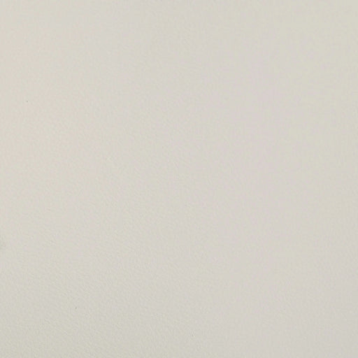 Barstools Set of 2, Counter Height Upholstered Bar Stools with Back for Kitchen Island, Beige Faux PU Leather Seating Black Iron Legs 260LBS Weight Capacity Default -DTYStore