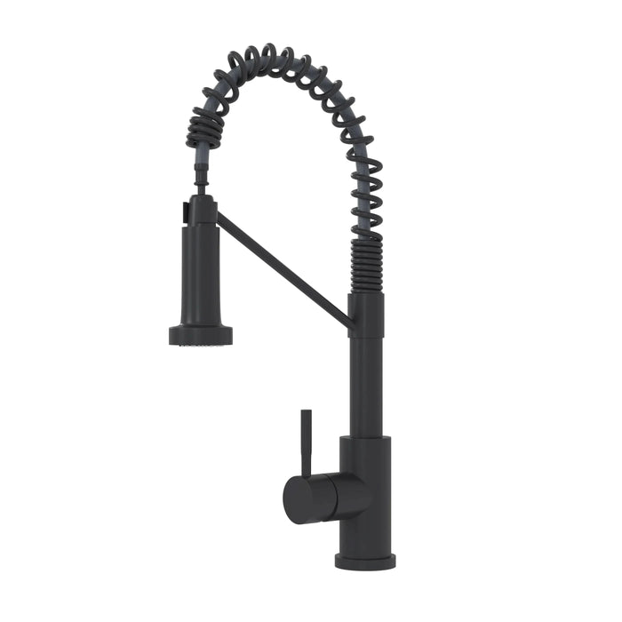 Bothwa Home CUPC Certified 19' Single Handle Kitchen Faucet (Matt Black Finish) - DTY Store