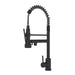 Bothwa Home CUPC Certified 19' Single Handle Kitchen Faucet (Matt Black Finish)- DTY Store