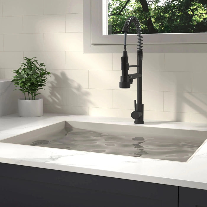 Bothwa Home CUPC Certified 19' Single Handle Kitchen Faucet (Matt Black Finish) - DTY Store