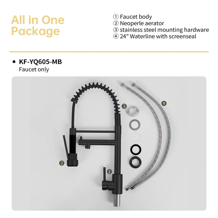 Bothwa Home CUPC Certified 19' Single Handle Kitchen Faucet (Matt Black Finish) - DTY Store