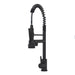 Bothwa Home CUPC Certified 19' Single Handle Kitchen Faucet (Matt Black Finish) - DTY Store