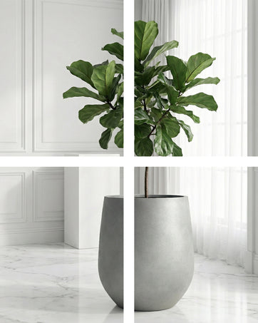 DTY Signature Mount Wilson Planter