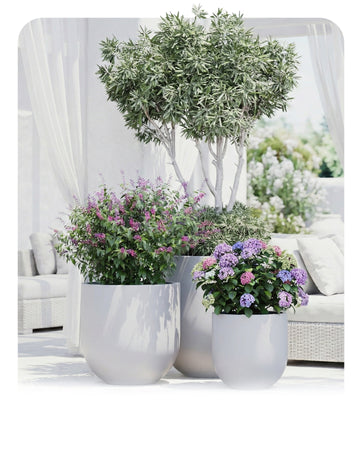 DTY Signature Mount Antero Planter