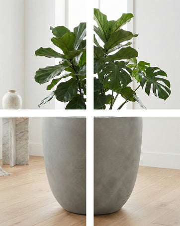 DTY Signature Mount Yale Planter