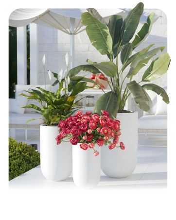 DTY Signature Mount Harvard Planter
