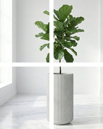 DTY Signature Mount Elbert Planter