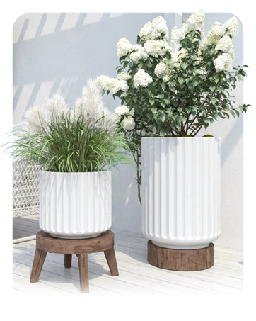 DTY Signature Mount Shavano Planter