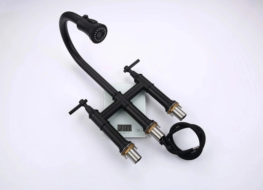 Bridge Kitchen Faucet with Pull-Down Sprayhead in Spot Default -DTYStore