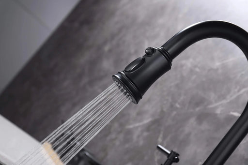 Bridge Kitchen Faucet with Pull-Down Sprayhead in Spot Default -DTYStore