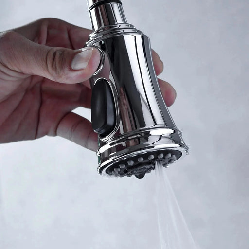 Bridge Kitchen Faucet with Pull-Down Sprayhead in Spot Default -DTYStore