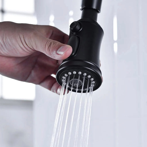 Bridge Kitchen Faucet with Pull-Down Sprayhead in Spot Default -DTYStore